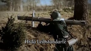 Marschlied der Leibstandarte (Czech Translation)