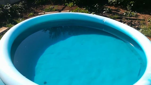 Чистая вода в бассейне!? смотреть онлайн