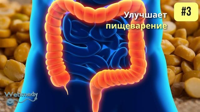 5 главных преимуществ чечевицы для здоровья | Чечевица для похудения