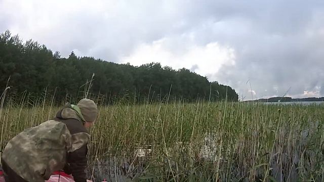 В Карелию на машине. КАК СДЕЛАТЬ ДУШ В ЛЕСУ смотреть онлайн