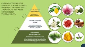 Чем отличается туалетная вода от парфюмерной воды