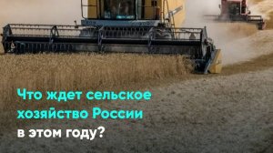 Что ждет сельское хозяйство России в этом году?