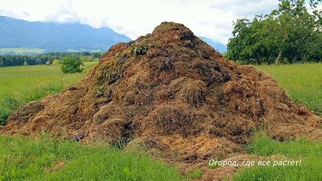 433. Список главных покупок к дачному сезону. смотреть онлайн