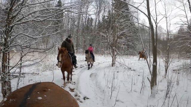 "Шанс на жизнь" | Волшебный лес смотреть онлайн