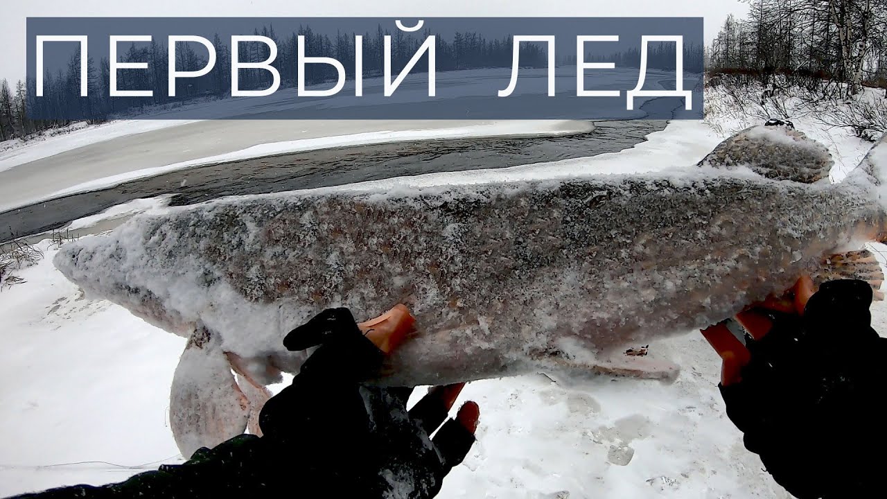 Щучье логово в малом ручье. Рыбалка по первому льду. First ice fishing. DF 72