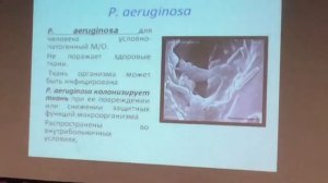 Лекция по микробиологии от Кафарской Л.И. Тема «Возбудители ВБИ». Часть 2