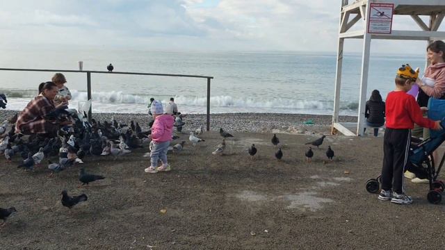 Пляж Морская Звезда. Дети и голуби. Яркий солнечный день.  Лазаревское Сочи. Погода 28 октября 2022