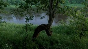 Летняя рыбалка на Луге. Часть 1. Июнь 2020.