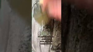 Мастер-класс Красим кашпо - из пластика в камень. Декор для дома.