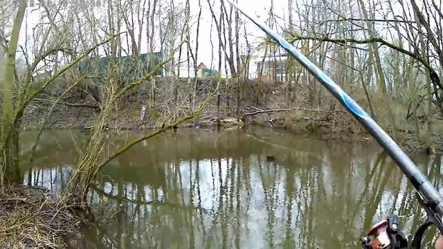 Плотва как из пулемёта. Активный клев плотвы. Дождались, плотва пошла на нерест. смотреть онлайн