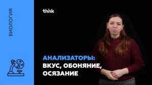 Анализаторы: вкус,  обоняние,  осязание | Биология