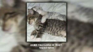 Пошлая Молли - Даже моя бэйби не знает (speed up)