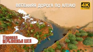 Весенняя дорога по Алтаю. Перевал Верблюжья шея. Дронозарисовка | Cinematic Travel Video (4K)