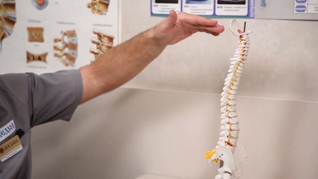 Чому болить спина? Що таке протрузія і як вона виникає? Частина #1 смотреть онлайн