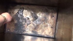 Как правильно коптить осетра.