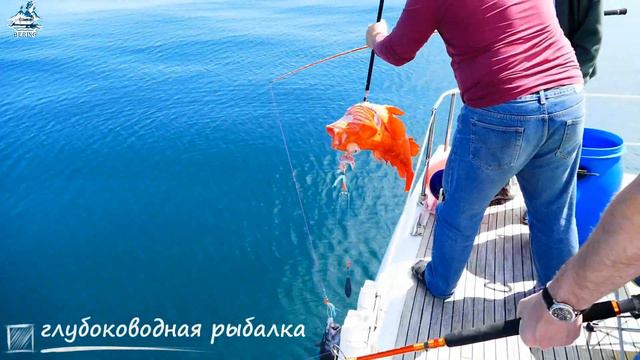 Катамаран Беринг Камчатка смотреть онлайн