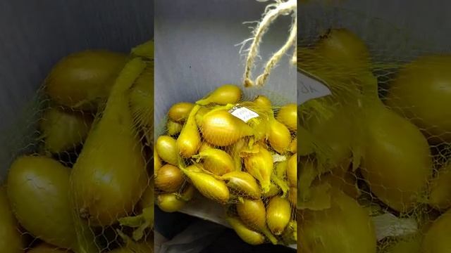 Лук шалот готов на отправку смотреть онлайн