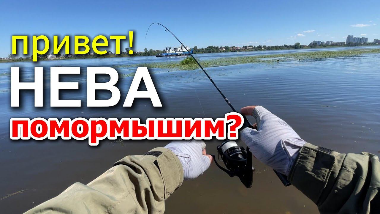 МОРМО на НЕВЕ | КЛЁВ - ОГОНЬ! #мормышинг #рыбалка #nanojig #fishing