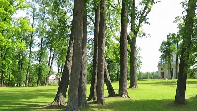 ДВОРЦОВО-ПАРКОВЫЙ АНСАМБЛЬ "ОРАНИЕНБАУМ". ПРОГУЛКА ПО ПАРКАМ.