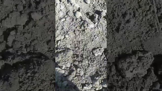 Сеялка для ручной Посадки Моркови других Семян смотреть онлайн