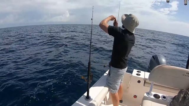 How To Catch Red Snapper: The Start To Finish Guide! Be Prepared For Snapper Season +Fishing Spots смотреть онлайн