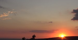 Ещё один день поиска Золота в горах!