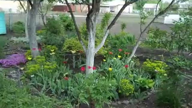 Цветники на даче  Клумбы своими руками  Как правильно создать красивый цветник