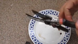 Кока-Кола и ржавый секатор. Очищает ли Кола от ржавчины?