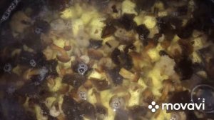 Грибной суп из зимних грибов. Зимние опята (фламмулина) и аурикулярия уховидная (Иудино ухо).