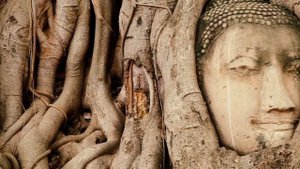 Близкие контакты пятой степени