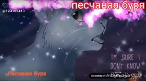 Половинка луны 🌓 и воробей🌗~объясни почему~коты воители~клип