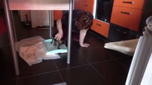 Щенка цвергпинчера приучают к лотку (пеленке)