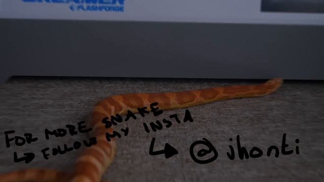 The *Ultimate* Hacker Setup смотреть онлайн