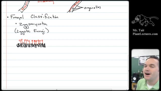 AP Biology - Diversity of Living Things - Lesson 6: Fungi