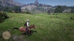 Everyone Rides Horses & Many Ride Donkeys But Only Few Ride This 😂 RDR2