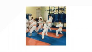 Международная аттестация на пояса по Шотокан Каратэ SKIF