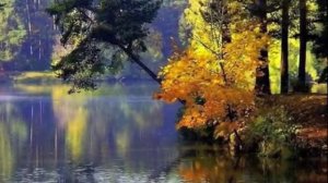 Журавли улетели на юг