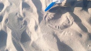 УДАЧНЫЙ КОП НА ПЛЯЖЕ В КАЛИНИНГРАДЕ - ПОИСК ЗОЛОТА С МЕТАЛЛОИСКАТЕЛЕМ TX 850