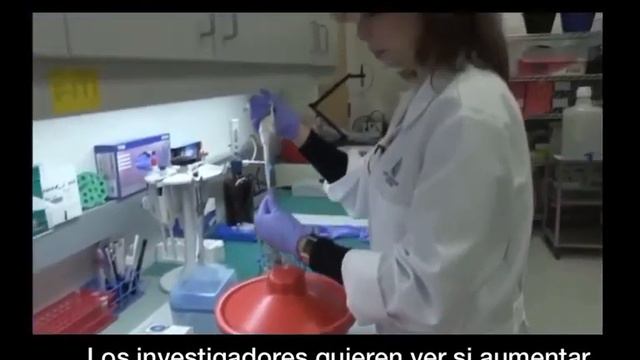 Noticia, sobre estudios realizados en Florida utilizando Immunocal en Niños con autismo.
