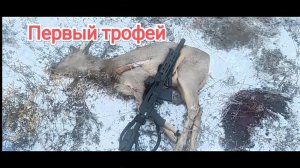 Первый трофей на загонной охоте с Сайга TG-2, фмж-3 366ткм.С обвесом от Хартман, кочевник