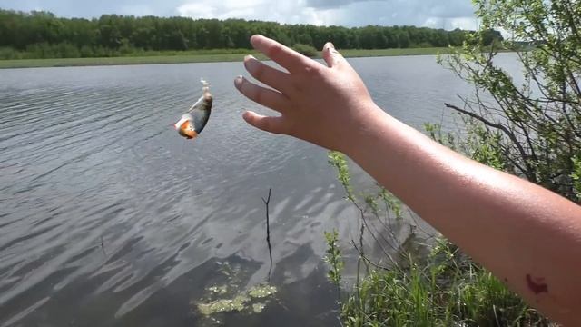 РЫБАЛКА НА УДОЧКУ ДЛЯ ДУШИ! смотреть онлайн