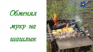 Обменял муху на 4 килограмма мяса