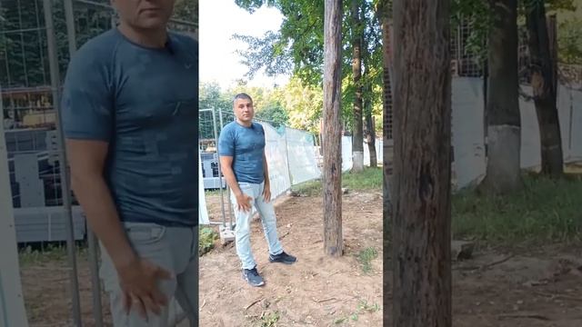 Столб масленица. Подольск парк Талалихина. Как залезть на столб, тренировка. смотреть онлайн