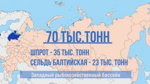 К концу ноября российские рыбаки выловили более 4,9 млн тонн рыбы⬆️