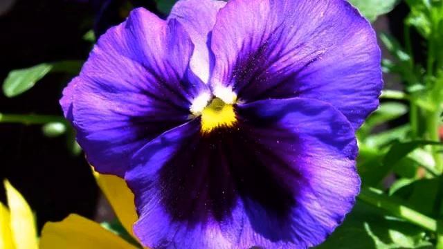 Отличные русские песни для сна 2015 смотреть онлайн