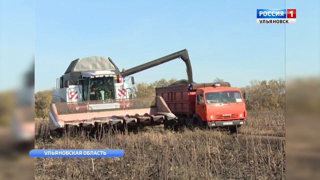 Уборка подсолнечника смотреть онлайн