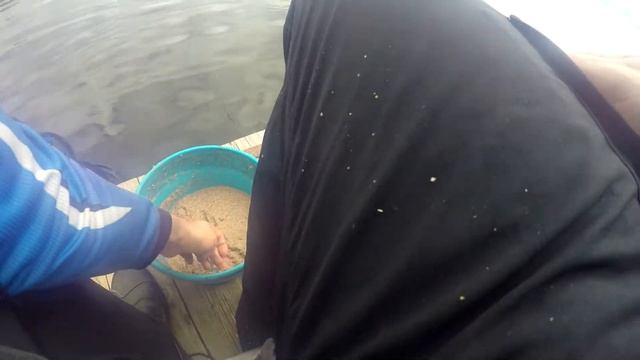 Уклейка на поплавок. 1 серия. Как поймать больше всех уклейки. смотреть онлайн