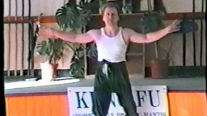 Чоу Гар Южный богомол 18 Рук внутренней темной силы