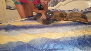 Злой кот Ричик не любит, когда его целуют )