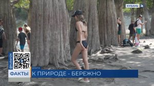 Корни без воды: кипарисы в озере Сукко под Анапой снова обнесут ограждением